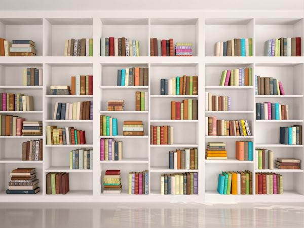 Bookshelf Assembly in Lake Stevens