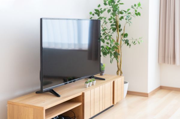 TV Stand Assembly in Lake Stevens